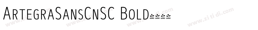 ArtegraSansCnSC Bold字体转换